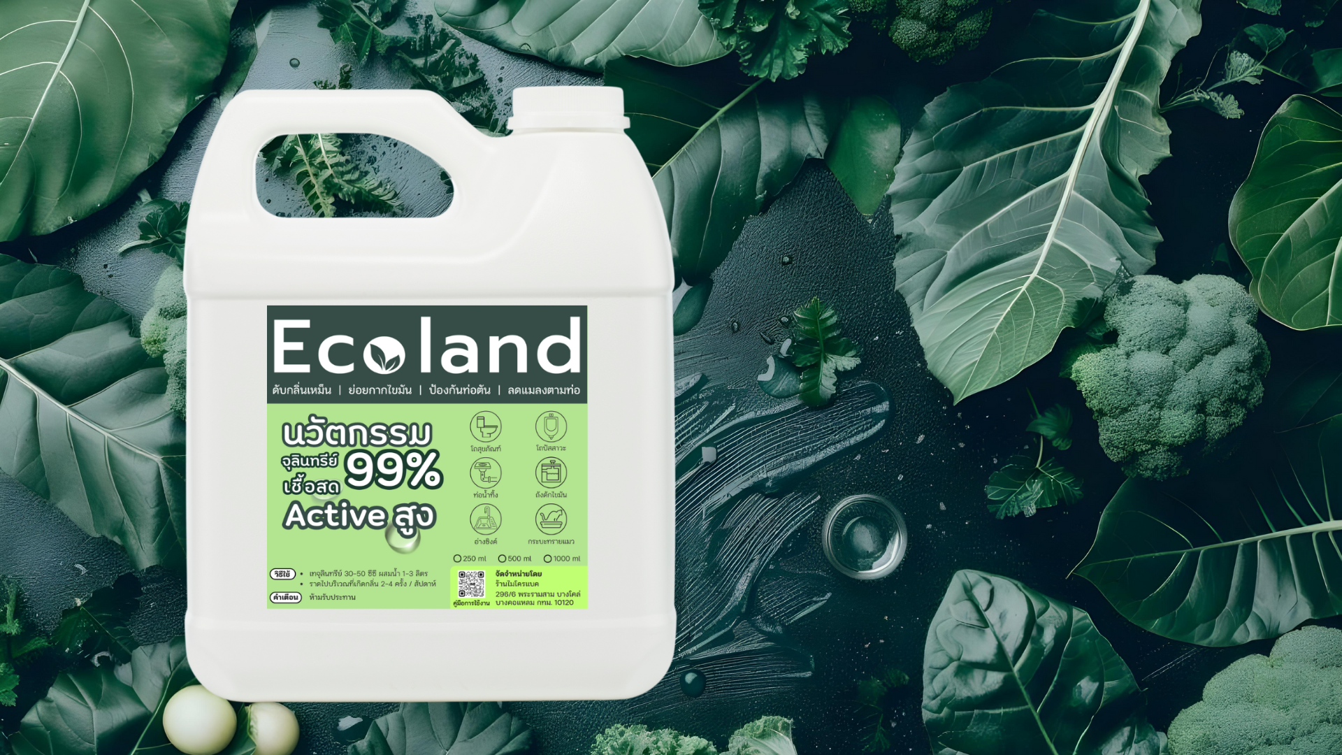 ผลิตภัณฑ์จุลินทรีย์ Ecoland สูตรเชื้อสด Active 99%